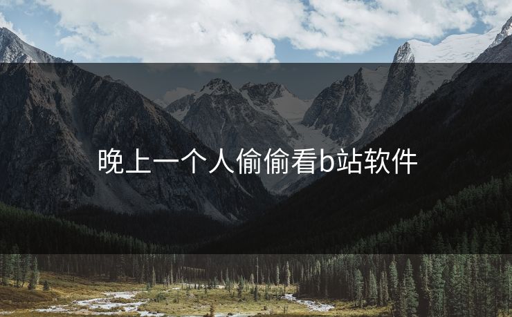 晚上一个人偷偷看b站软件