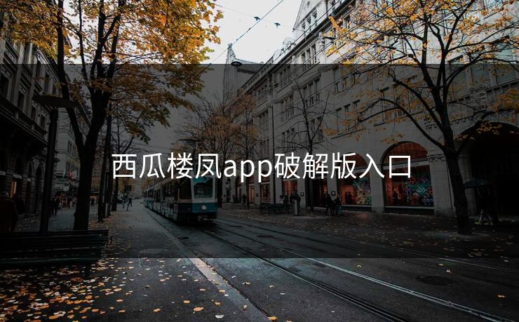 西瓜楼凤app破解版入口