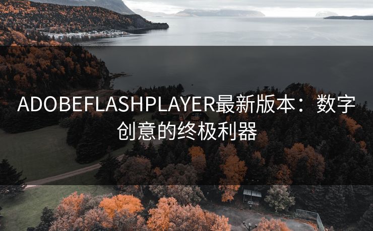 ADOBEFLASHPLAYER最新版本:数字创意的终极利器 ADOBEFLASHPLAYER最新版本:数字创意的终极利器