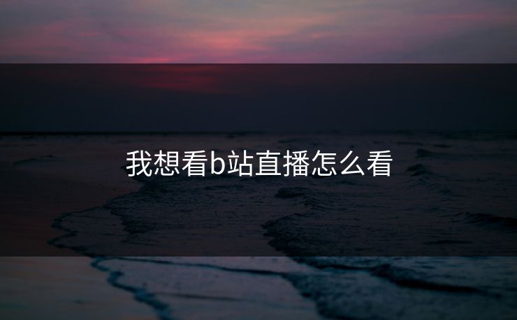 我想看b站直播怎么看
