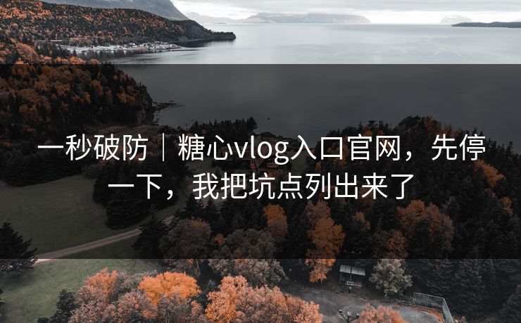 一秒破防｜糖心vlog入口官网，先停一下，我把坑点列出来了